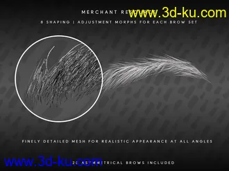 3D打印模型Beautiful Brows II Merchant Resource for Genesis 8 and Genesis 8.1 Females的图片
