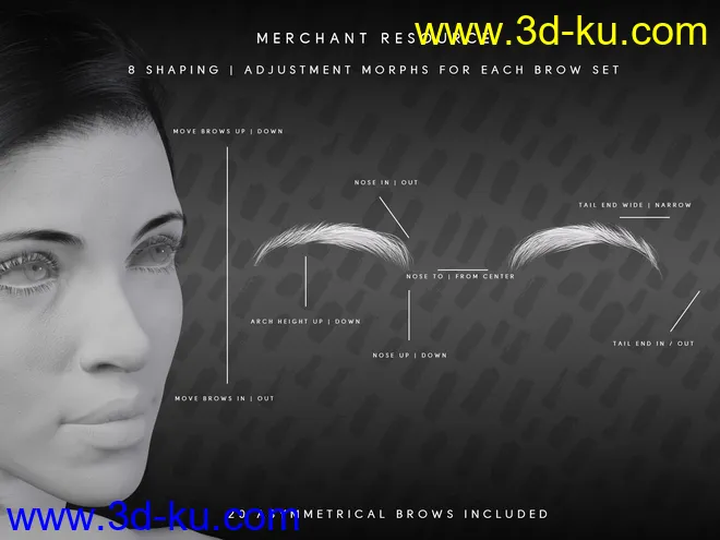Beautiful Brows II Merchant Resource for Genesis 8 and Genesis 8.1 Females模型的图片7