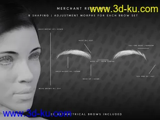 3D打印模型Beautiful Brows II Merchant Resource for Genesis 8 and Genesis 8.1 Females的图片