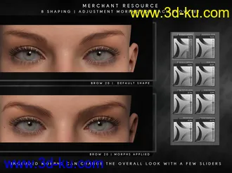 3D打印模型Beautiful Brows II Merchant Resource for Genesis 8 and Genesis 8.1 Females的图片