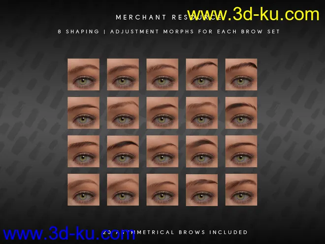 Beautiful Brows II Merchant Resource for Genesis 8 and Genesis 8.1 Females模型的图片9