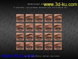 3D打印模型Beautiful Brows II Merchant Resource for Genesis 8 and Genesis 8.1 Females的图片