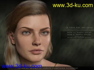 3D打印模型Beautiful Brows II Merchant Resource for Genesis 8 and Genesis 8.1 Females的图片