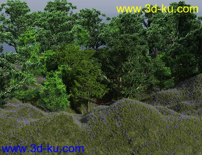 Bluebell Wood模型的图片4