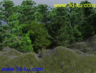 3D打印模型Bluebell Wood的图片