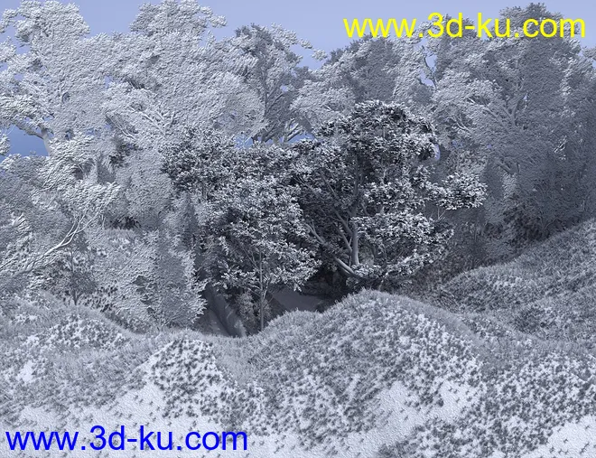 Bluebell Wood模型的图片5