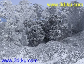 3D打印模型Bluebell Wood的图片