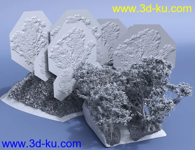 Bluebell Wood模型的图片6