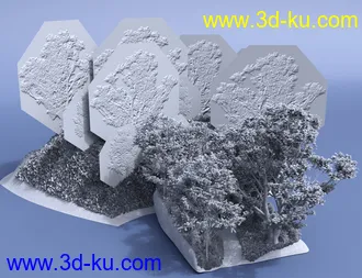 3D打印模型Bluebell Wood的图片