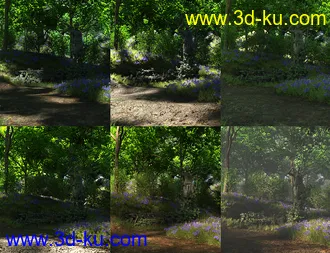 3D打印模型Bluebell Wood的图片