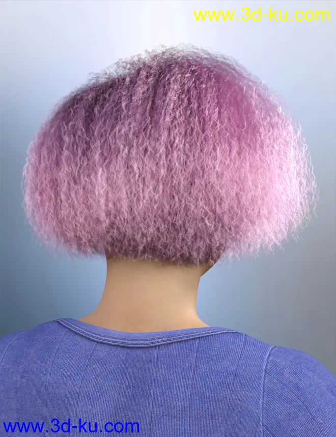Bobbi Hair for Genesis 8 and 8.1 Female模型的图片11