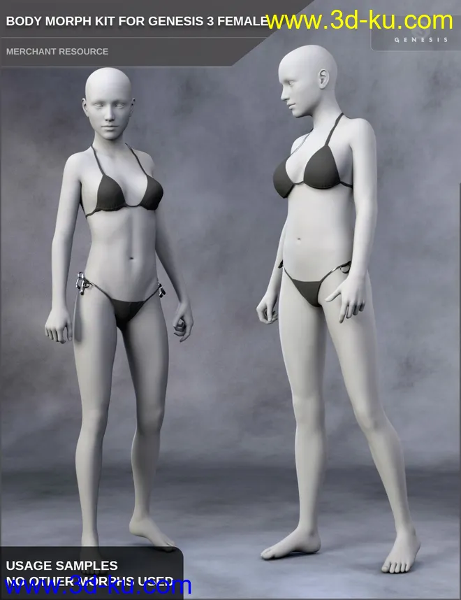Body Morph Kit for Genesis 3 Female and Merchant Resource模型的图片2