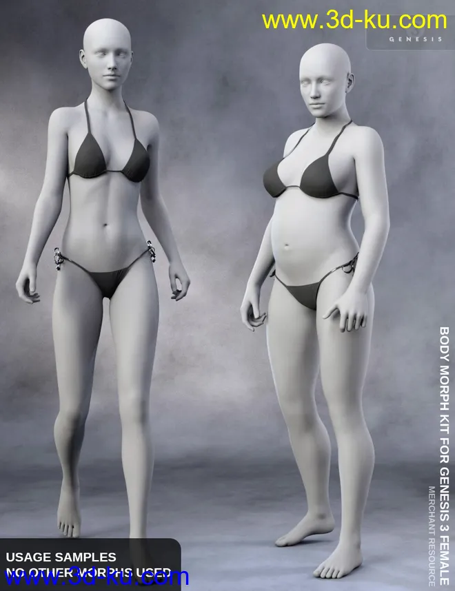 Body Morph Kit for Genesis 3 Female and Merchant Resource模型的图片3