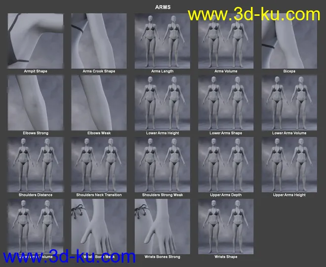 Body Morph Kit for Genesis 3 Female and Merchant Resource模型的图片4