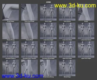 3D打印模型Body Morph Kit for Genesis 3 Female and Merchant Resource的图片