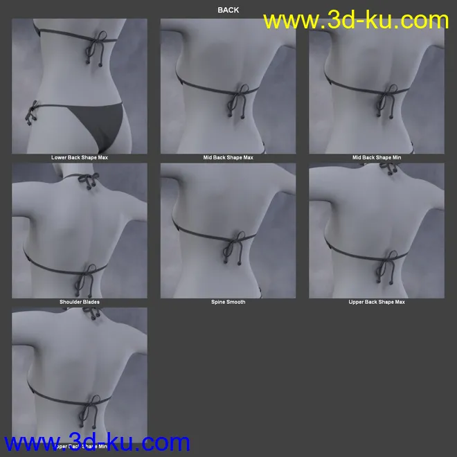 Body Morph Kit for Genesis 3 Female and Merchant Resource模型的图片5
