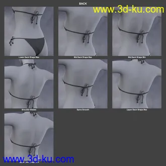 3D打印模型Body Morph Kit for Genesis 3 Female and Merchant Resource的图片