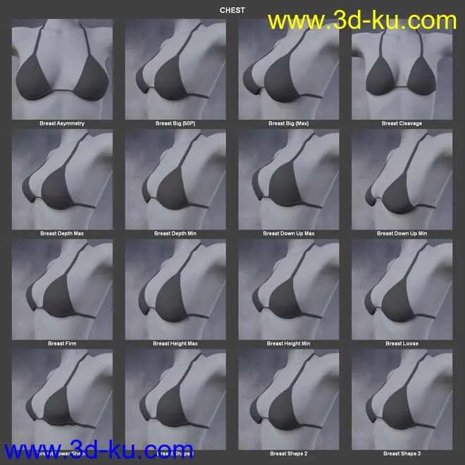 Body Morph Kit for Genesis 3 Female and Merchant Resource模型的图片6