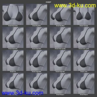 3D打印模型Body Morph Kit for Genesis 3 Female and Merchant Resource的图片