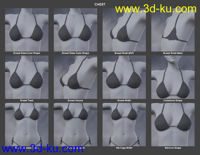 Body Morph Kit for Genesis 3 Female and Merchant Resource模型的图片7