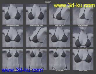 3D打印模型Body Morph Kit for Genesis 3 Female and Merchant Resource的图片