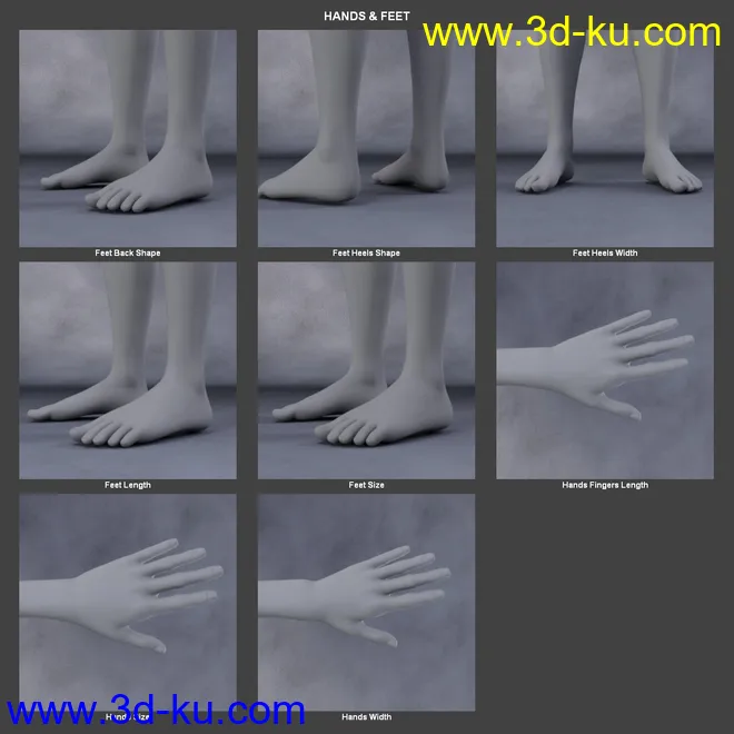 Body Morph Kit for Genesis 3 Female and Merchant Resource模型的图片9