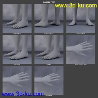 3D打印模型Body Morph Kit for Genesis 3 Female and Merchant Resource的图片