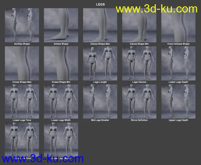 Body Morph Kit for Genesis 3 Female and Merchant Resource模型的图片11