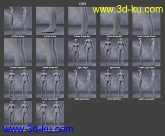 3D打印模型Body Morph Kit for Genesis 3 Female and Merchant Resource的图片