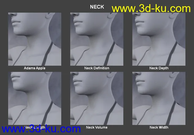 Body Morph Kit for Genesis 3 Female and Merchant Resource模型的图片12