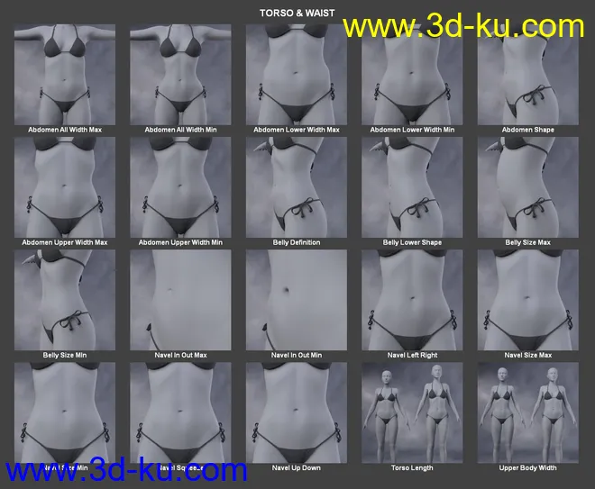 Body Morph Kit for Genesis 3 Female and Merchant Resource模型的图片13
