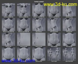 3D打印模型Body Morph Kit for Genesis 3 Female and Merchant Resource的图片