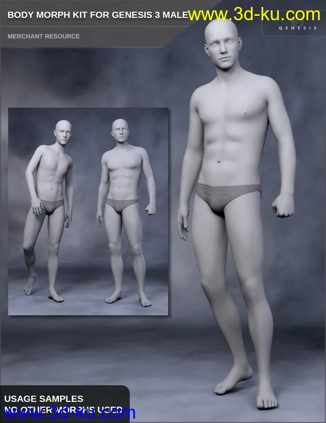 Body Morph Kit for Genesis 3 Male and Merchant Resource模型的图片1
