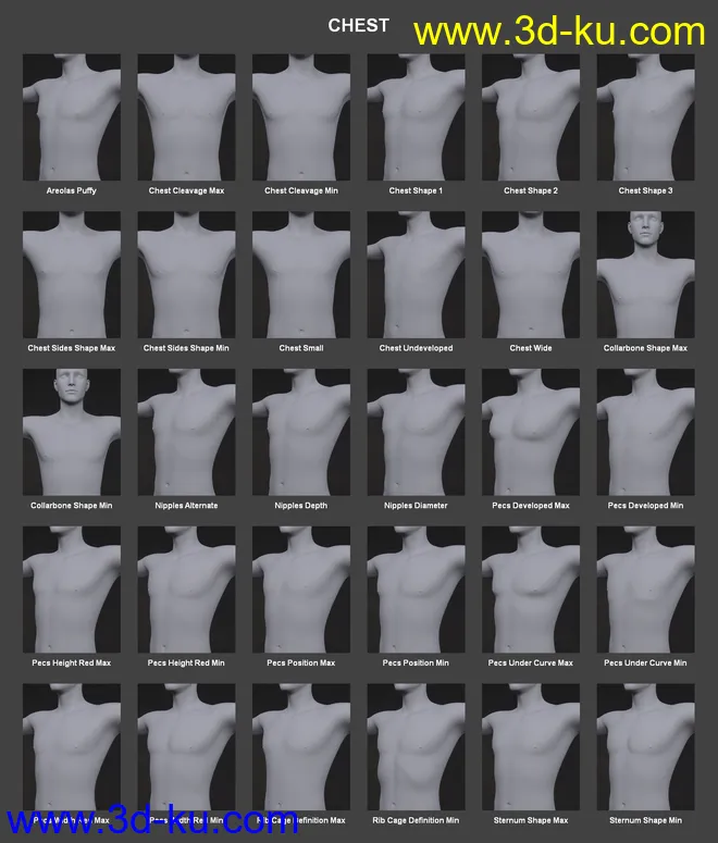 Body Morph Kit for Genesis 3 Male and Merchant Resource模型的图片7