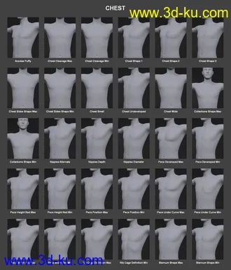 3D打印模型Body Morph Kit for Genesis 3 Male and Merchant Resource的图片