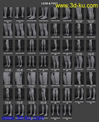 3D打印模型Body Morph Kit for Genesis 3 Male and Merchant Resource的图片