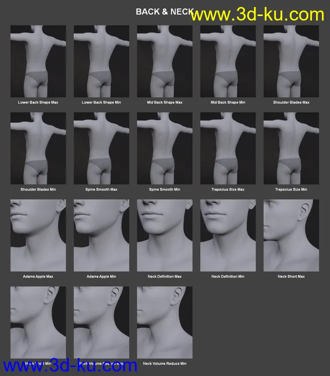 Body Morph Kit for Genesis 3 Male and Merchant Resource模型的图片10