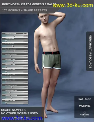 3D打印模型Body Morph Kit for Genesis 8 Male的图片