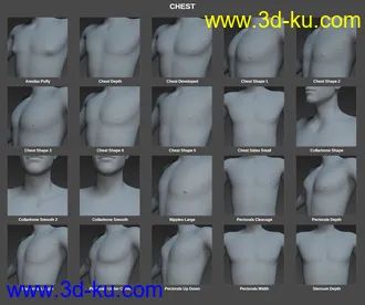 3D打印模型Body Morph Kit for Genesis 8 Male的图片