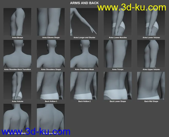 Body Morph Kit for Genesis 8 Male模型的图片3