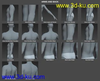 3D打印模型Body Morph Kit for Genesis 8 Male的图片
