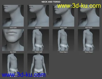 3D打印模型Body Morph Kit for Genesis 8 Male的图片