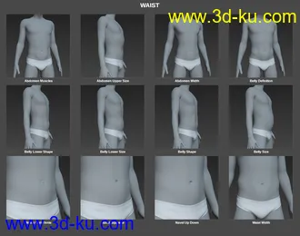 3D打印模型Body Morph Kit for Genesis 8 Male的图片