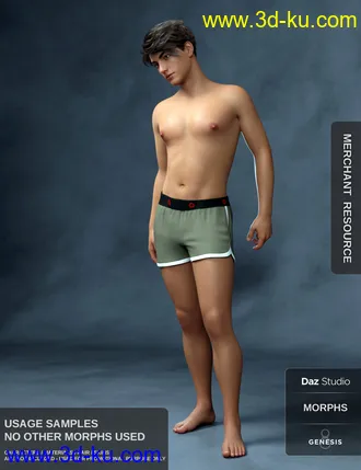3D打印模型Body Morph Kit for Genesis 8 Male的图片
