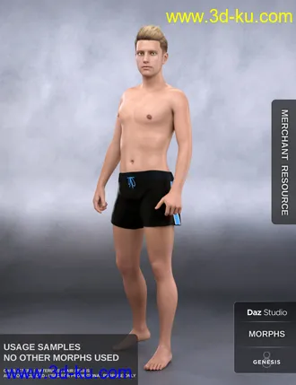 3D打印模型Body Morph Kit for Genesis 8 Male的图片