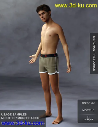3D打印模型Body Morph Kit for Genesis 8 Male的图片