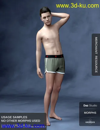3D打印模型Body Morph Kit for Genesis 8 Male的图片