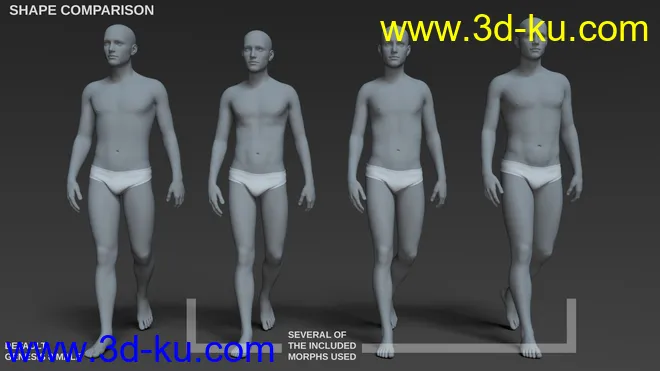 Body Morph Kit for Genesis 8 Male模型的图片14