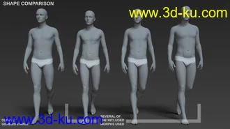 3D打印模型Body Morph Kit for Genesis 8 Male的图片