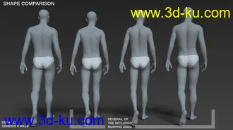 3D打印模型Body Morph Kit for Genesis 8 Male的图片